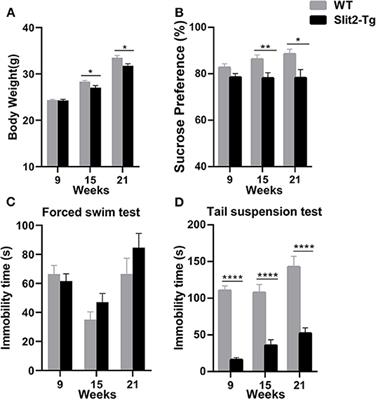 Depression-/Anxiety-Like Behavior Alterations in Adult Slit2 Transgenic Mice